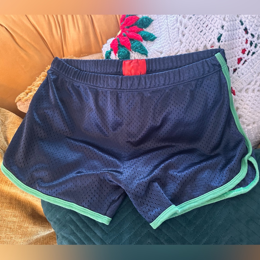 Navy Blue & green Mesh Andrew Christian shorts